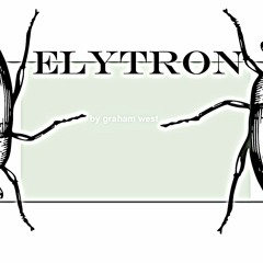 Elytron