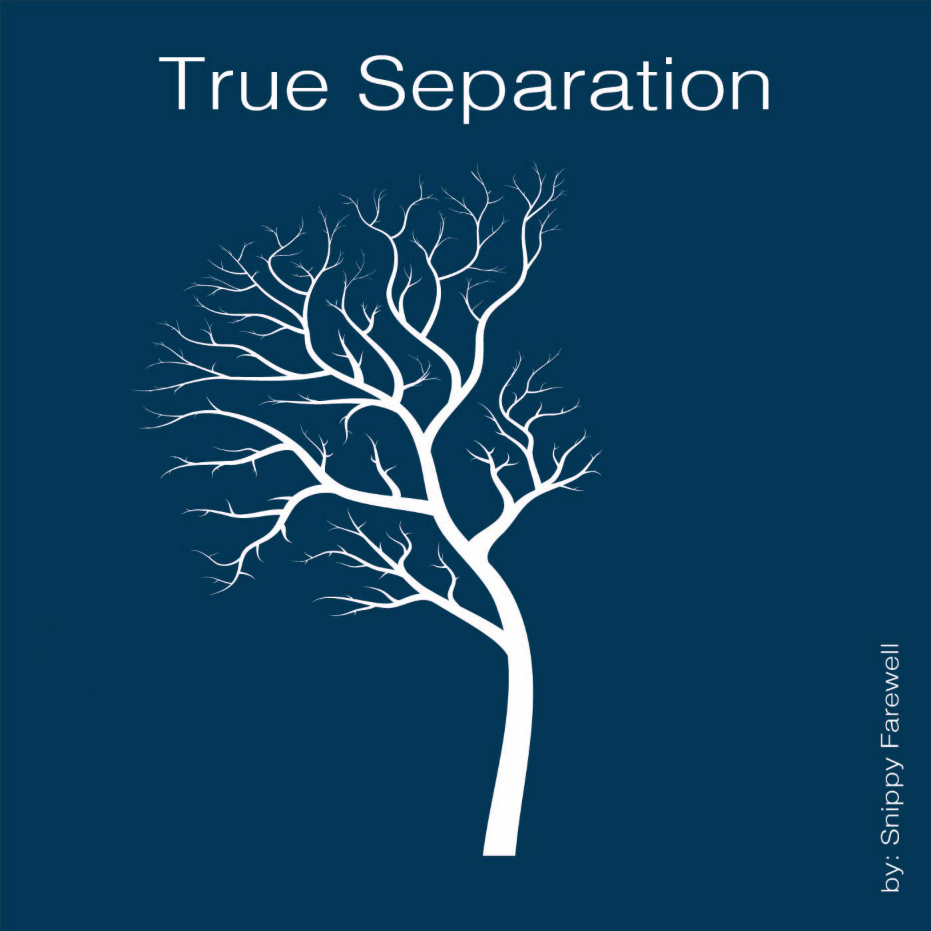 True Separation episode artwork