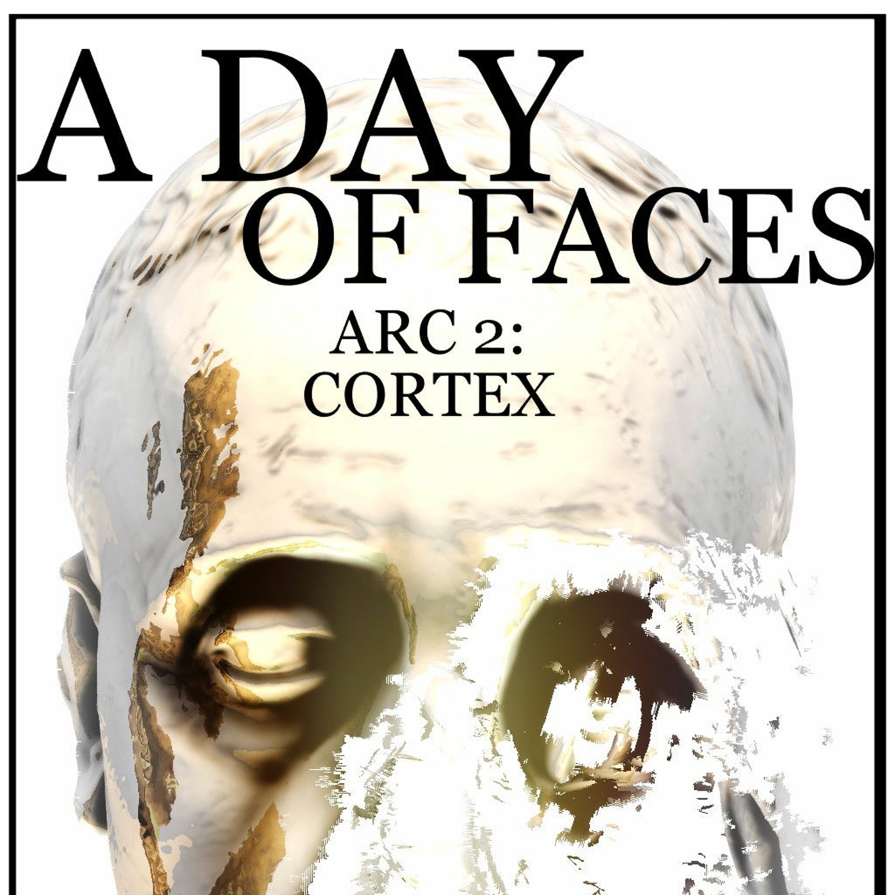 A Day of Faces audiobook