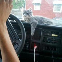 Schwee-Step Volume 4