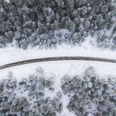 '16-'17 Winter