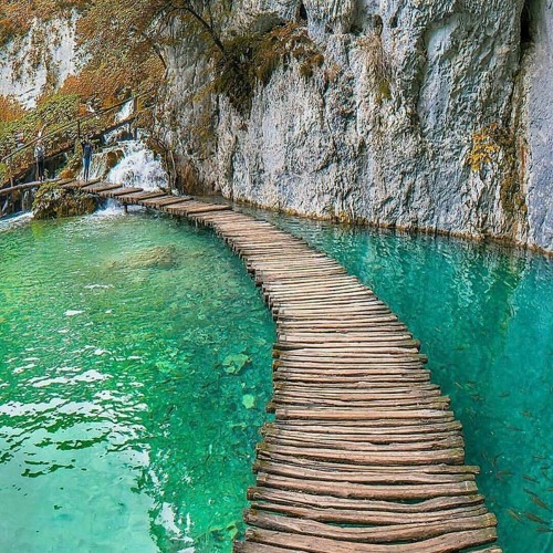 ولا تحسبن الله غافلا عما يعمل الظالمون تلاوة اكثر من رائعة للقارئ ناصر القطامي ❤ 🌸.