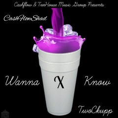 TwoCkupp X CashFlowShad - Wanna Know ( I Do It )