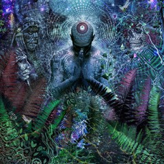 Dj Lapse' - Visionary Trip @ Visionary Shamanics Rec. (SetMix 2017)