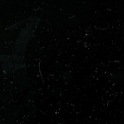 Don'tSpoilThisForMe - [FREE DOWNLOAD]