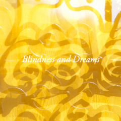 BLINDNESS AND DREAMS Part 2