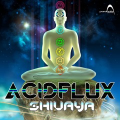 Acidflux - Shiva Nritya