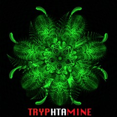 Time Travellers - Tryphtamine