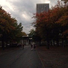 When We Were Young (Cover)