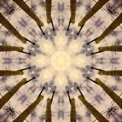 Melodrone
