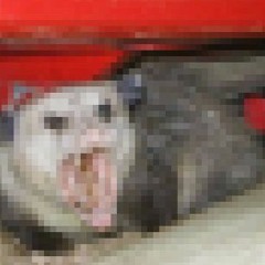 Bnani - May I Please Borrow A Shovel?