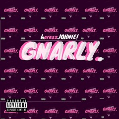 hereszJOHNIE - GNARLY