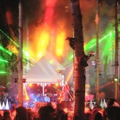 Fractal Forest - Shambhala 2017 (Review)