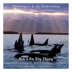 Bombyce & dj ShmeeJay - Ain't No Big Thing - 2017-04-27