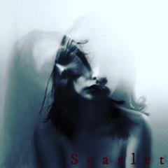 The Most Beautiful Woman in Town