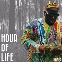Haber- Hour Of Life (Brodie Laing Remix) *Free D/L*
