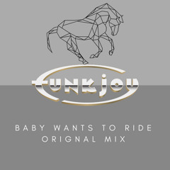 Funkjoy - Baby Wants To Ride (Original HH Mix)