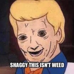 shaggy it isnt weed