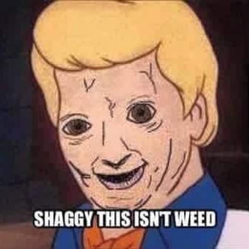 shaggy it isnt weed