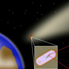 E X T R E M O P H I L E