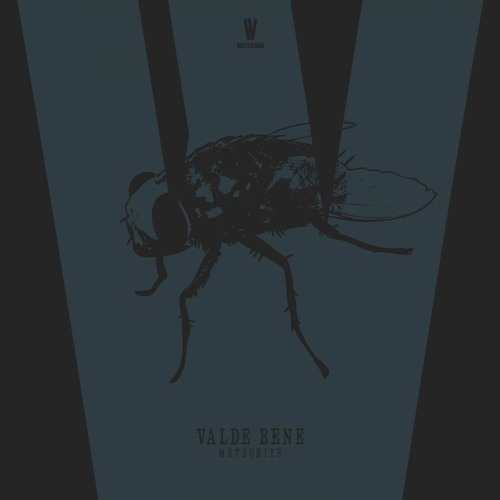 Valde Bene - Meteorite (Original Mix)