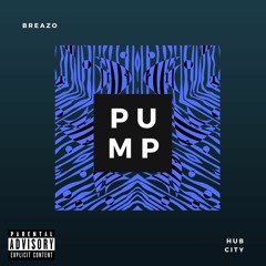 LANDR - Breazo- Pump