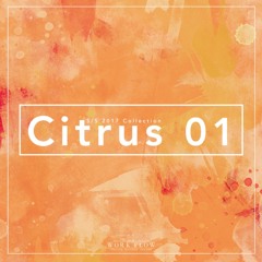 【XFD】Citrus 01 -Grapefruit-