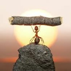 Bartakada - (O)) MASCIADRI