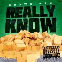 Really Know (Prod. Browntime)