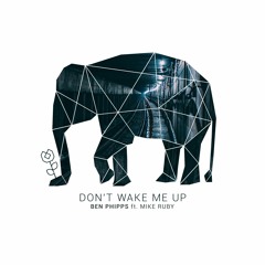 Don't Wake Me Up (ft. Mike Ruby)