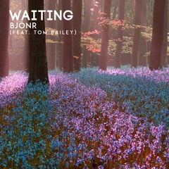 Bjonr - Waiting (feat. Tom Bailey)