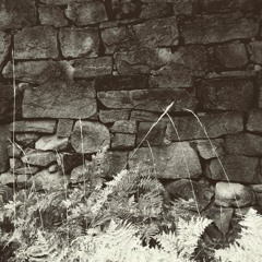 fluvic remnants