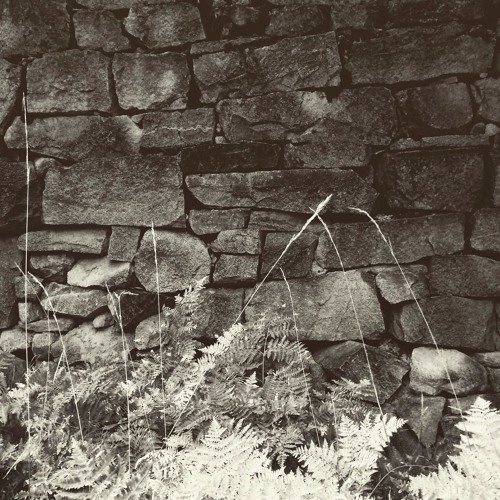 fluvic remnants