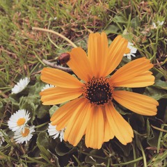 Will I Ever Be Free?