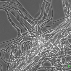 NewAl-4 (2002-03-26)(remaster)