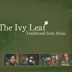 On Raglan Road - The Ivy Leaf