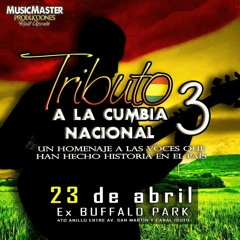 Tributo a la Cumbia Nacional 3 (2017).mp3