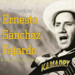 Kamadry DJ -  Despecho Despecho, Pajarillo De Verdes Alas, Tres Claveles (Jilguero Del Huascaran)