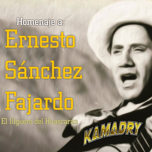 Kamadry DJ -  Despecho Despecho, Pajarillo De Verdes Alas, Tres Claveles (Jilguero Del Huascaran)