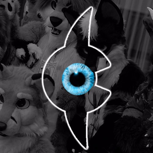 Corey Coyote - Arc