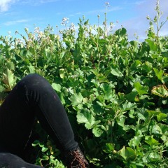 for you (sharon van etten cover)