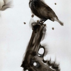 Fly Away (Prod. Lucid Soundz)