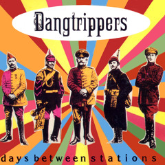 THE DANGTRIPPERS ~ Half Your Age