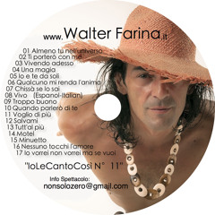 Io vorrei non vorrei ma se vuoi (Walter Farina)