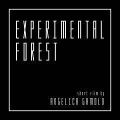 Experimental Forest