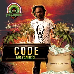 Mr Vanucci - Code