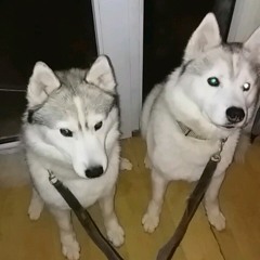 Must Be Something In The Water x