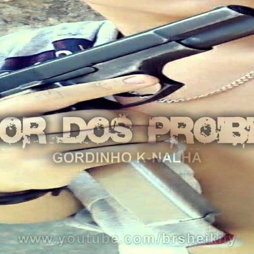 40 MIN DOS PROIBIDÕES DA MANGUEIRINHA ( DJ JR DA MANGUEIRINHA ) 2017