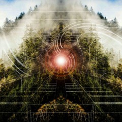 Acid Inside My Forest [Dj Set selected & mixed by MinatriX 05.2017]