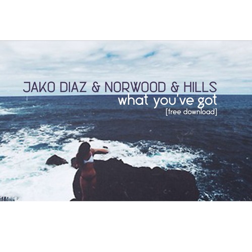 Jako Diaz & Norwood & Hills - What You've Got (Original Mix) [FREE DOWNLOAD]